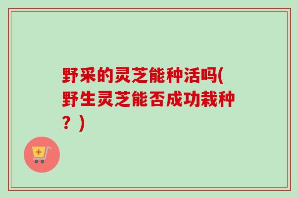 野采的灵芝能种活吗(野生灵芝能否成功栽种？)