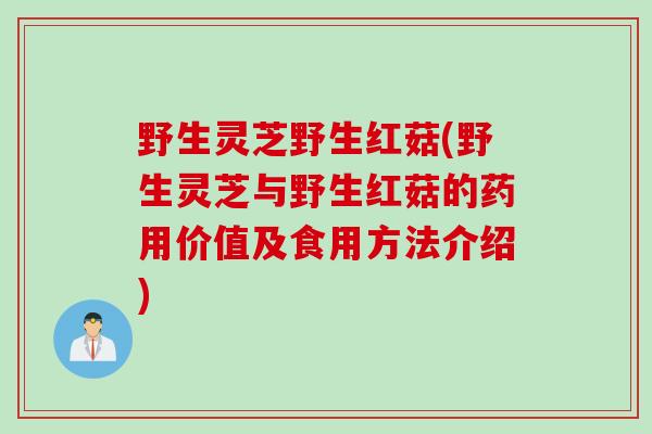 野生灵芝野生红菇(野生灵芝与野生红菇的药用价值及食用方法介绍)