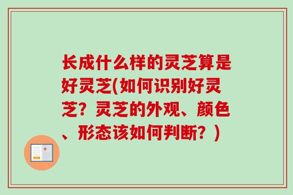 长成什么样的灵芝算是好灵芝(如何识别好灵芝？灵芝的外观、颜色、形态该如何判断？)