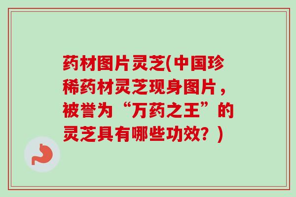 药材图片灵芝(中国珍稀药材灵芝现身图片，被誉为“万药之王”的灵芝具有哪些功效？)