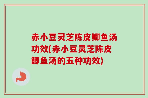 赤小豆灵芝陈皮鲫鱼汤功效(赤小豆灵芝陈皮鲫鱼汤的五种功效)
