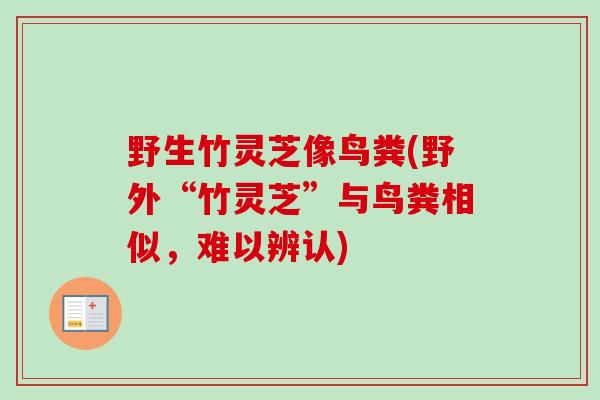 野生竹灵芝像鸟粪(野外“竹灵芝”与鸟粪相似，难以辨认)
