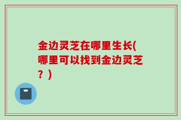 金边灵芝在哪里生长(哪里可以找到金边灵芝？)