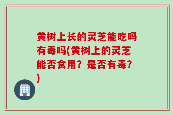 黄树上长的灵芝能吃吗有毒吗(黄树上的灵芝能否食用？是否有毒？)