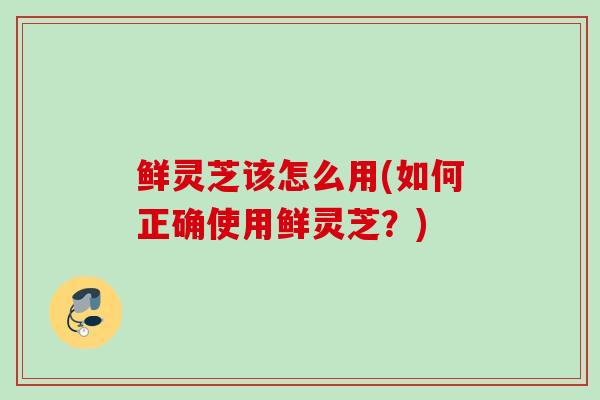 鲜灵芝该怎么用(如何正确使用鲜灵芝？)
