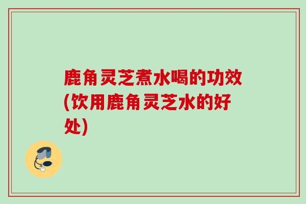鹿角灵芝煮水喝的功效(饮用鹿角灵芝水的好处) 鹿角灵芝煮水喝的功效(饮用鹿角灵芝水的好处)