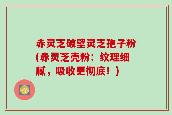 赤灵芝破壁灵芝孢子粉(赤灵芝壳粉：纹理细腻，吸收更彻底！)