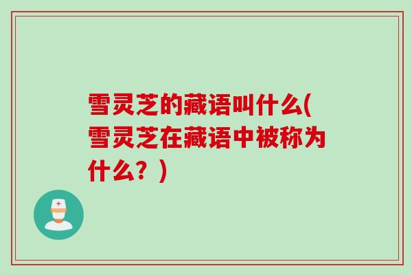 雪灵芝的藏语叫什么(雪灵芝在藏语中被称为什么？)