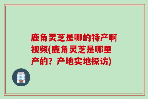 鹿角灵芝是哪的特产啊视频(鹿角灵芝是哪里产的？产地实地探访)