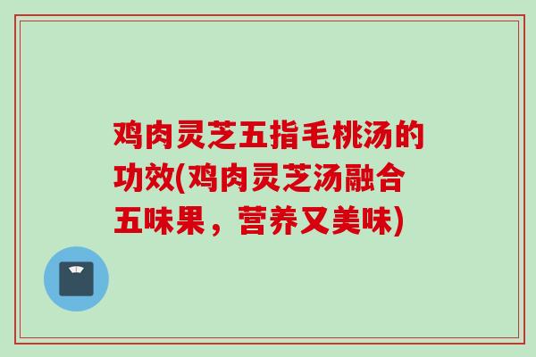 鸡肉灵芝五指毛桃汤的功效(鸡肉灵芝汤融合五味果,营养又美味) 鸡肉灵芝五指毛桃汤的功效(鸡肉灵芝汤融合五味果,营养又美味)