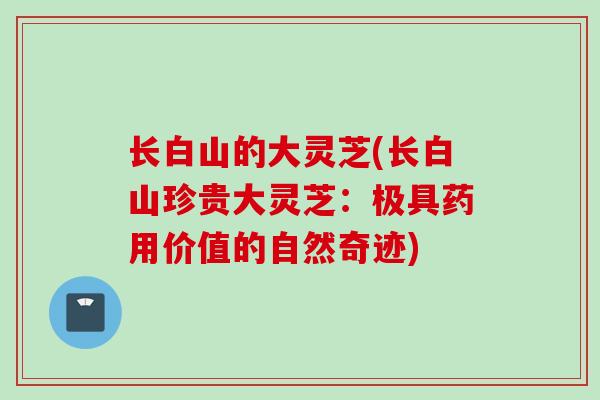 长白山的大灵芝(长白山珍贵大灵芝:极具药用价值的自然奇迹) 长白山的大灵芝(长白山珍贵大灵芝:极具药用价值的自然奇迹)