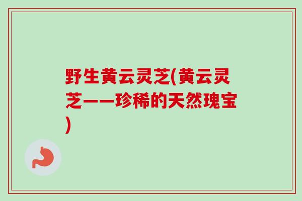 野生黄云灵芝(黄云灵芝——珍稀的天然瑰宝)