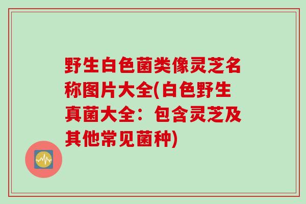野生白色菌类像灵芝名称图片大全(白色野生真菌大全:包含灵芝及其他常见菌种) 野生白色菌类像灵芝名称图片大全(白色野生真菌大全:包含灵芝及其他常见菌种)