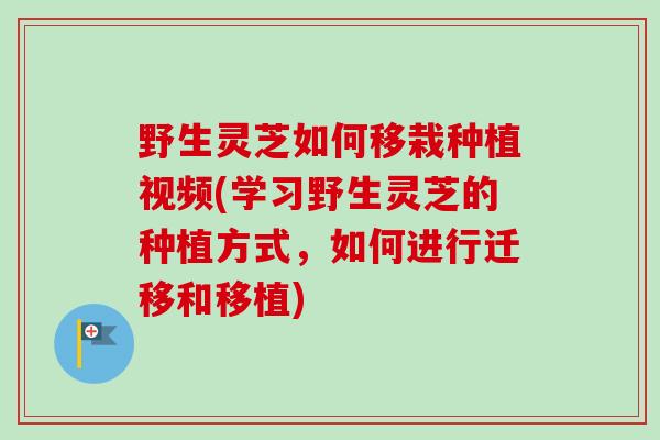 野生灵芝如何移栽种植视频(学习野生灵芝的种植方式,如何进行迁移和移植) 野生灵芝如何移栽种植视频(学习野生灵芝的种植方式,如何进行迁移和移植)
