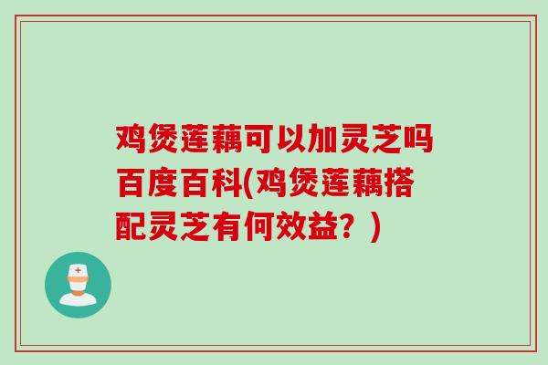 鸡煲莲藕可以加灵芝吗百度百科(鸡煲莲藕搭配灵芝有何效益？)