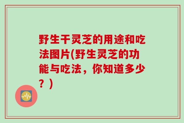 野生干灵芝的用途和吃法图片(野生灵芝的功能与吃法,你知道多少?) 野生干灵芝的用途和吃法图片(野生灵芝的功能与吃法,你知道多少?)