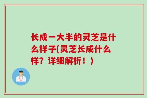 长成一大半的灵芝是什么样子(灵芝长成什么样?详细解析!) 长成一大半的灵芝是什么样子(灵芝长成什么样?详细解析!)