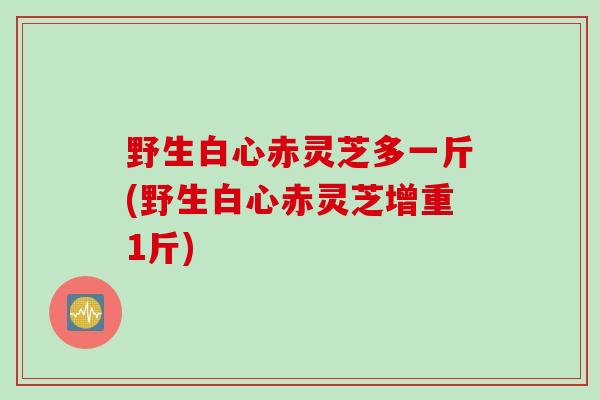 野生白心赤灵芝多一斤(野生白心赤灵芝增重1斤)