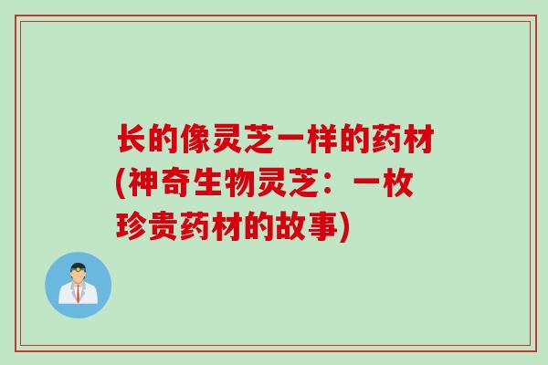 长的像灵芝一样的药材(神奇生物灵芝：一枚珍贵药材的故事)