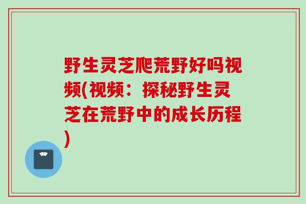 野生灵芝爬荒野好吗视频(视频：探秘野生灵芝在荒野中的成长历程)