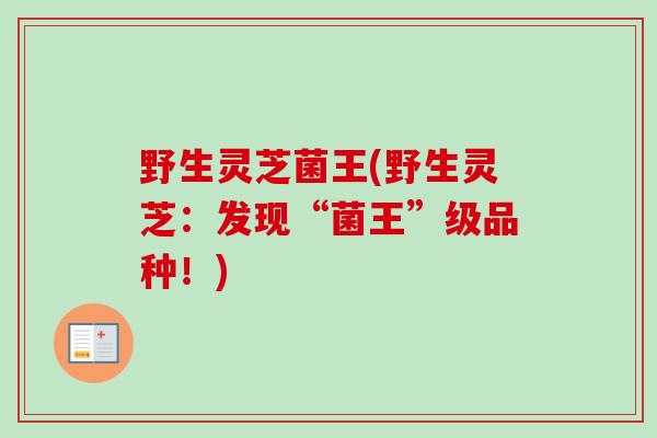 野生灵芝菌王(野生灵芝:发现“菌王”级品种!) 野生灵芝菌王(野生灵芝:发现“菌王”级品种!)