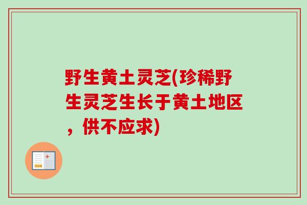 野生黄土灵芝(珍稀野生灵芝生长于黄土地区,供不应求) 野生黄土灵芝(珍稀野生灵芝生长于黄土地区,供不应求)