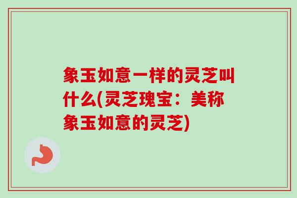 象玉如意一样的灵芝叫什么(灵芝瑰宝：美称象玉如意的灵芝)