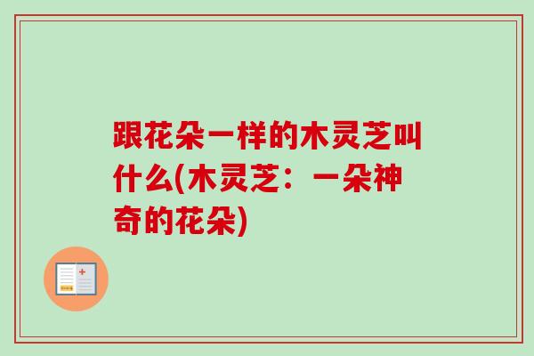 跟花朵一样的木灵芝叫什么(木灵芝:一朵神奇的花朵) 跟花朵一样的木灵芝叫什么(木灵芝:一朵神奇的花朵)