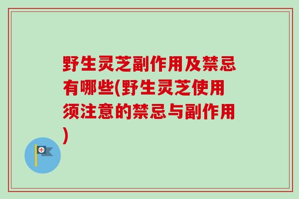 野生灵芝副作用及禁忌有哪些(野生灵芝使用须注意的禁忌与副作用) 野生灵芝副作用及禁忌有哪些(野生灵芝使用须注意的禁忌与副作用)