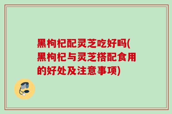 黑枸杞配灵芝吃好吗(黑枸杞与灵芝搭配食用的好处及注意事项)