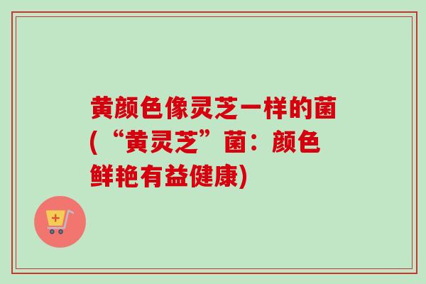 黄颜色像灵芝一样的菌(“黄灵芝”菌：颜色鲜艳有益健康)