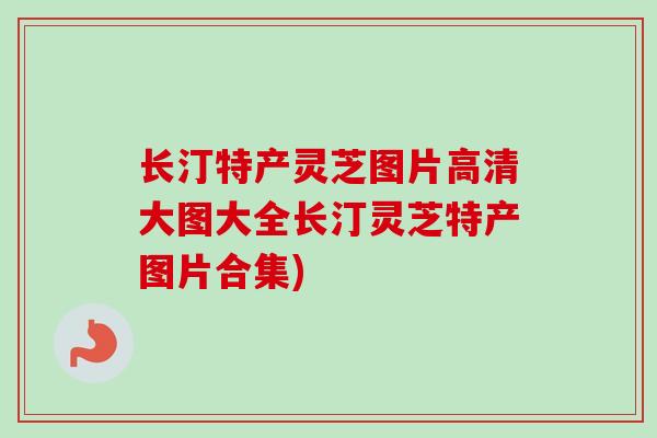 长汀特产灵芝图片高清大图大全长汀灵芝特产图片合集) 长汀特产灵芝图片高清大图大全长汀灵芝特产图片合集)