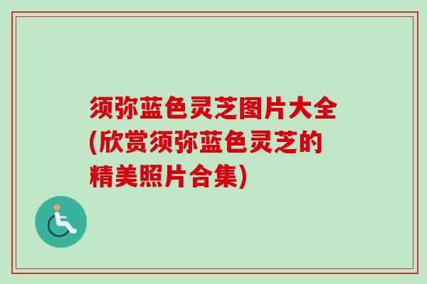 须弥蓝色灵芝图片大全(欣赏须弥蓝色灵芝的精美照片合集)