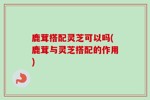 鹿茸搭配灵芝可以吗(鹿茸与灵芝搭配的作用)