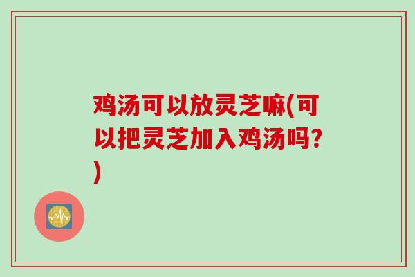 鸡汤可以放灵芝嘛(可以把灵芝加入鸡汤吗？)