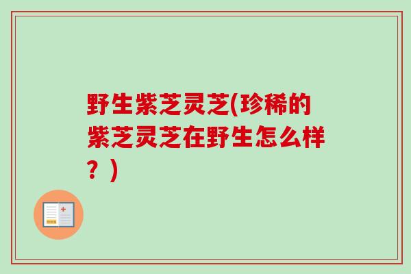 野生紫芝灵芝(珍稀的紫芝灵芝在野生怎么样？)