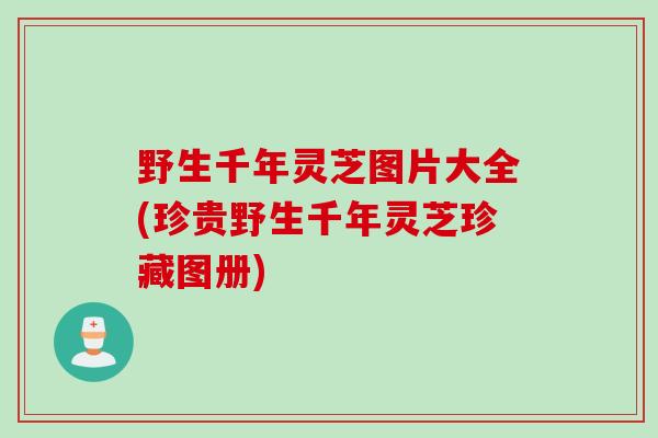 野生千年灵芝图片大全(珍贵野生千年灵芝珍藏图册) 野生千年灵芝图片大全(珍贵野生千年灵芝珍藏图册)