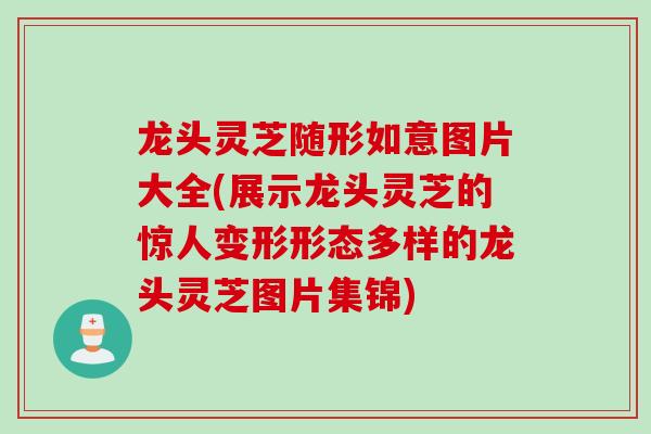 龙头灵芝随形如意图片大全(展示龙头灵芝的惊人变形形态多样的龙头灵芝图片集锦)