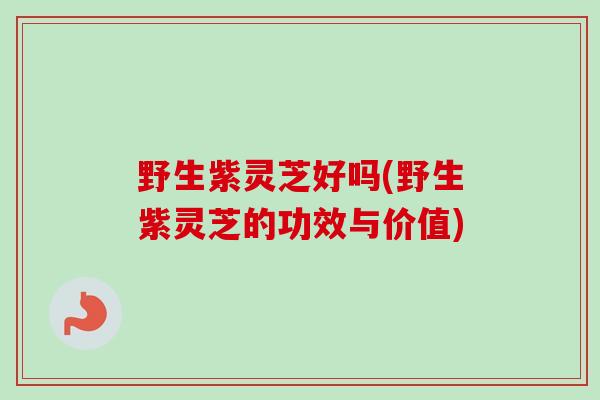 野生紫灵芝好吗(野生紫灵芝的功效与价值)