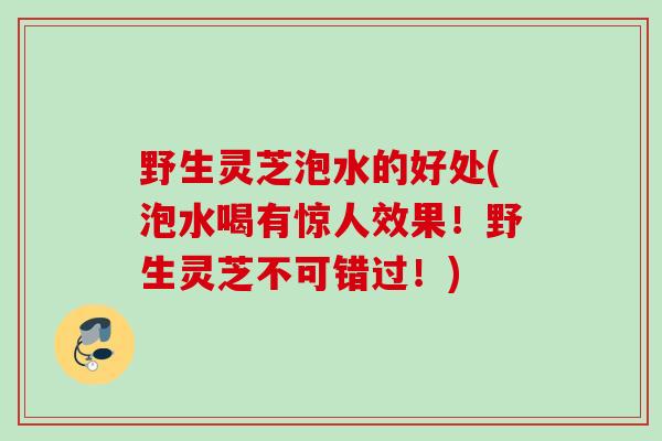 野生灵芝泡水的好处(泡水喝有惊人效果！野生灵芝不可错过！)