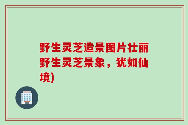 野生灵芝造景图片壮丽野生灵芝景象，犹如仙境)