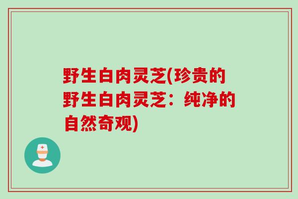 野生白肉灵芝(珍贵的野生白肉灵芝：纯净的自然奇观)