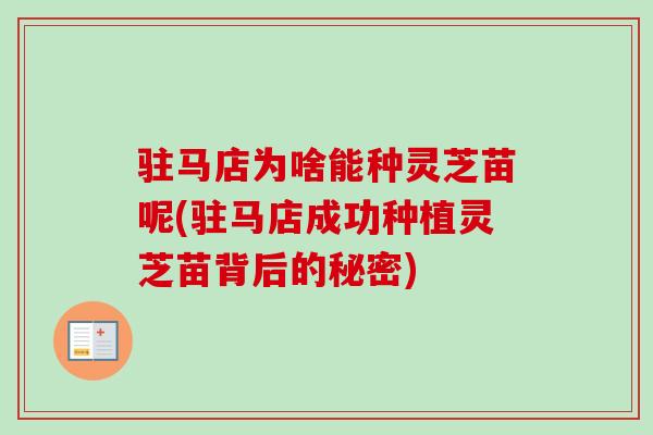 驻马店为啥能种灵芝苗呢(驻马店成功种植灵芝苗背后的秘密)