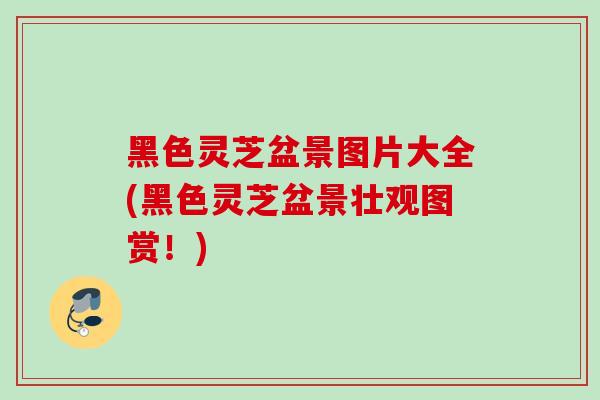 黑色灵芝盆景图片大全(黑色灵芝盆景壮观图赏！)