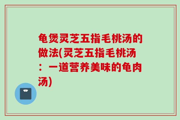 龟煲灵芝五指毛桃汤的做法(灵芝五指毛桃汤：一道营养美味的龟肉汤)