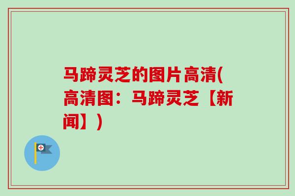 马蹄灵芝的图片高清(高清图：马蹄灵芝【新闻】)