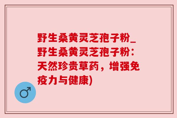 野生桑黄灵芝孢子粉_野生桑黄灵芝孢子粉：天然珍贵草药，增强免疫力与健康)
