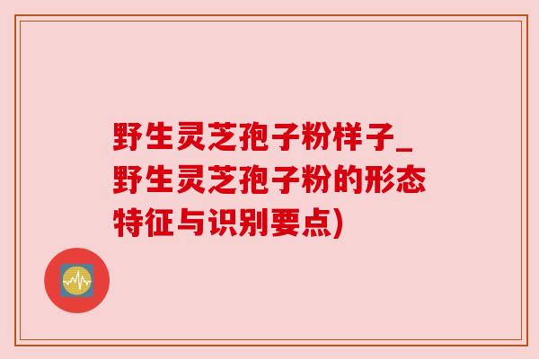 野生灵芝孢子粉样子_野生灵芝孢子粉的形态特征与识别要点)
