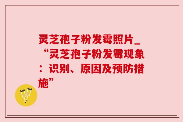 灵芝孢子粉发霉照片_“灵芝孢子粉发霉现象：识别、原因及预防措施”