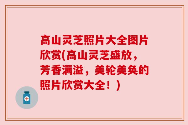高山灵芝照片大全图片欣赏(高山灵芝盛放，芳香满溢，美轮美奂的照片欣赏大全！)